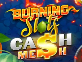 wild bet777 app